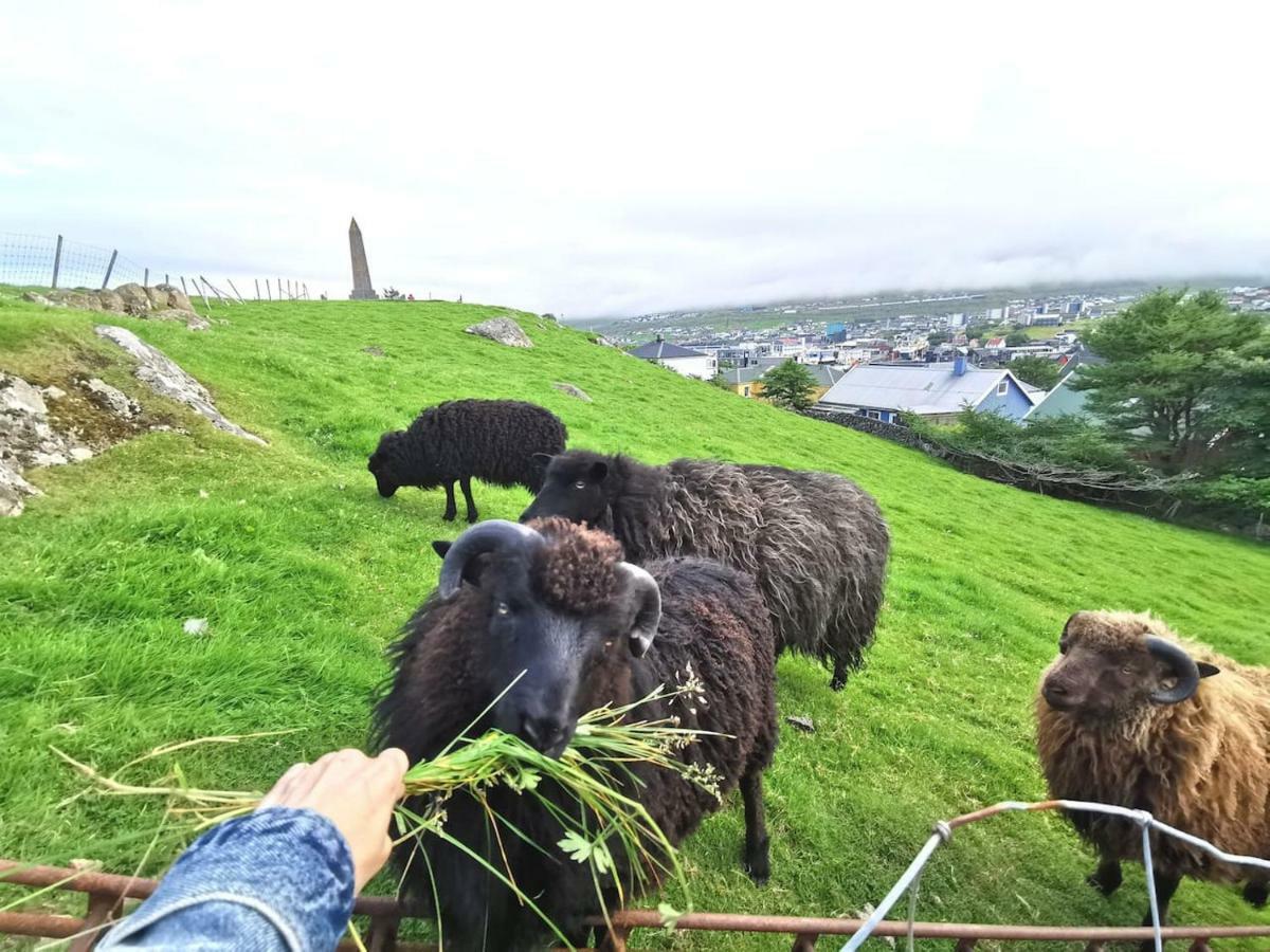 A Green Pearl In The Heart Of Tórshavn Екстериор снимка